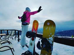 ogrody geyera, zlot foodtrucków, profesjonalna organizacja eventów