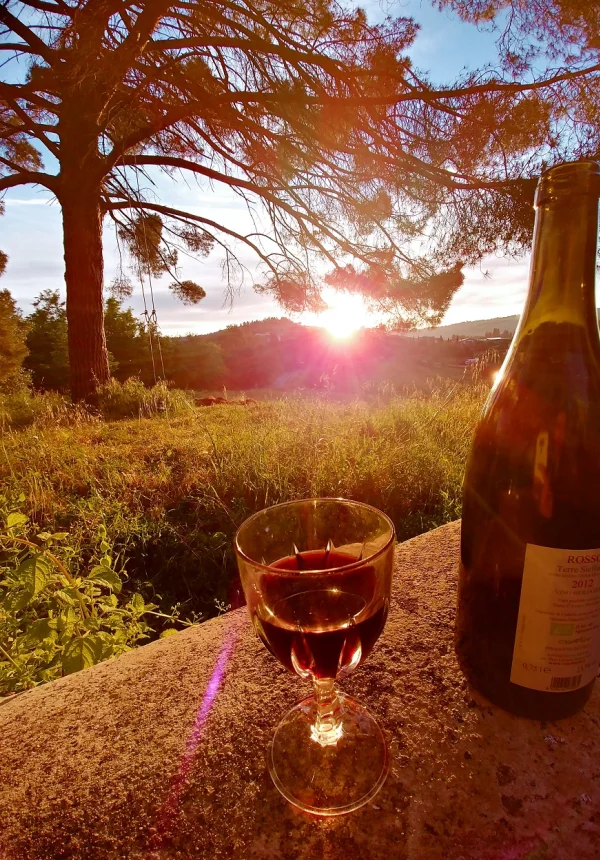 toskania, wino i śpiew, wino włoskie